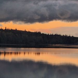 Meet your Posher, Cynthia